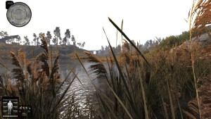 Anomaly Medium 4.1