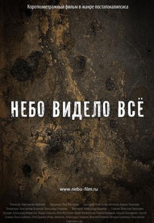 Фильм Константина Шелепова Небо видело всё (2011/HDRip)