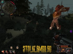 Stalker Наёмный Призрак Комариная Плешь
