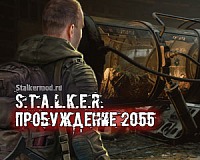 Пробуждение 2055