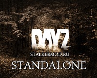 DayZ Standalone