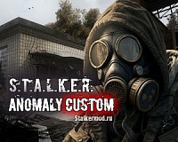 Anomaly Custom