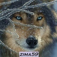 zima59 аватар