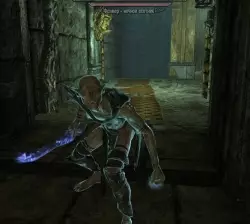 Falmer Nightprowler 