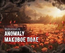 Anomaly Маковое поле